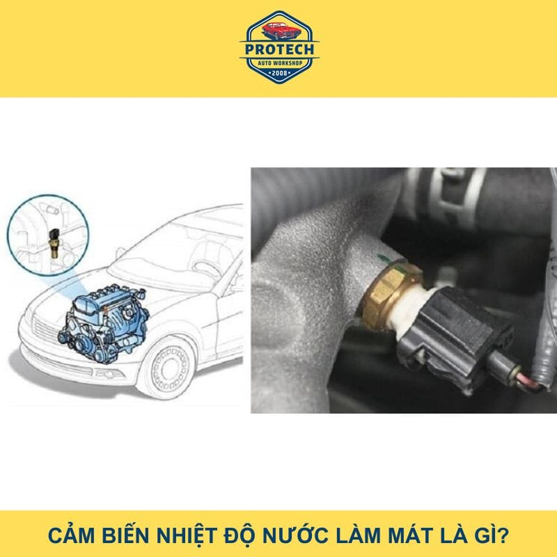 Cảm biến nhiệt độ nước làm mát là gì?