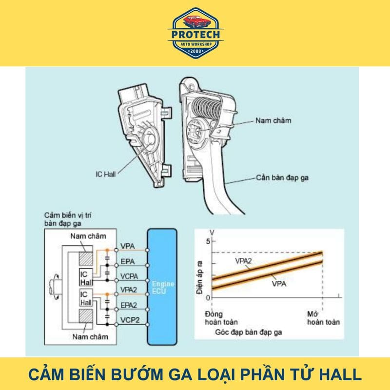 Cấu tạo cảm biến bướm ga loại phần tử Hall