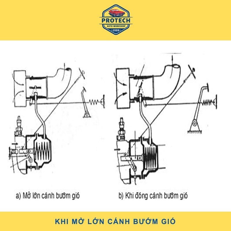 Khi mở lớn cánh bướm gió