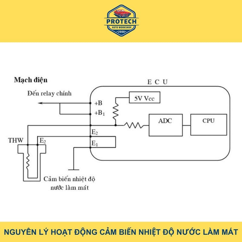 Nguyên lý hoạt động cảm biến nhiệt nước làm mát