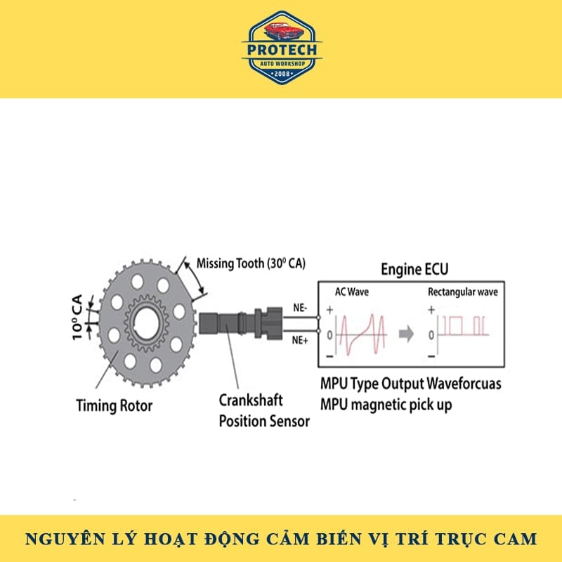 Nguyên lý hoạt động của cảm biến trục cam 