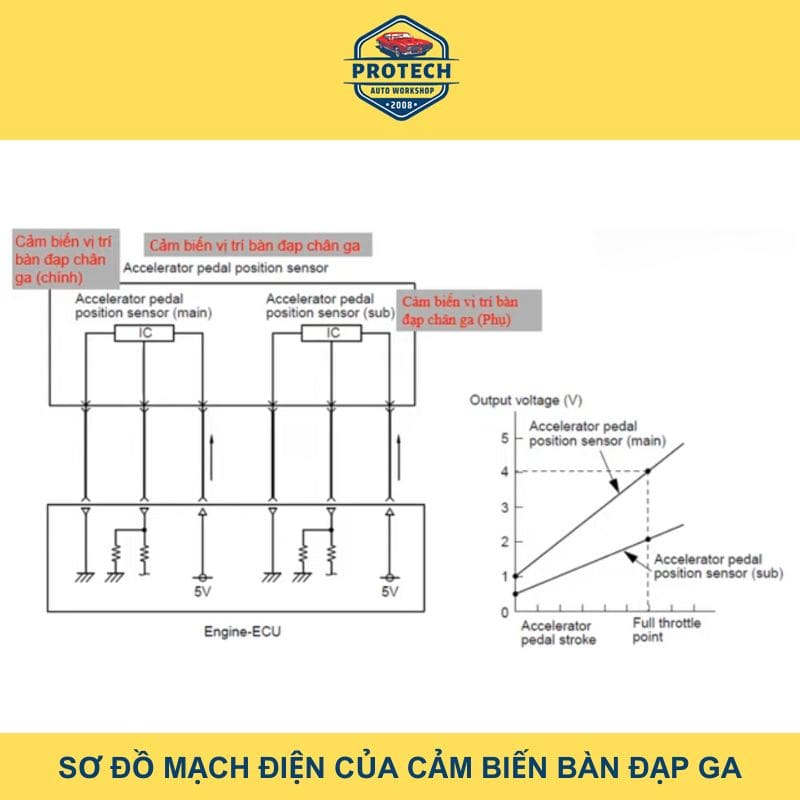 Sơ đồ mạch điện của cảm biến bàn đạp chân ga ô tô