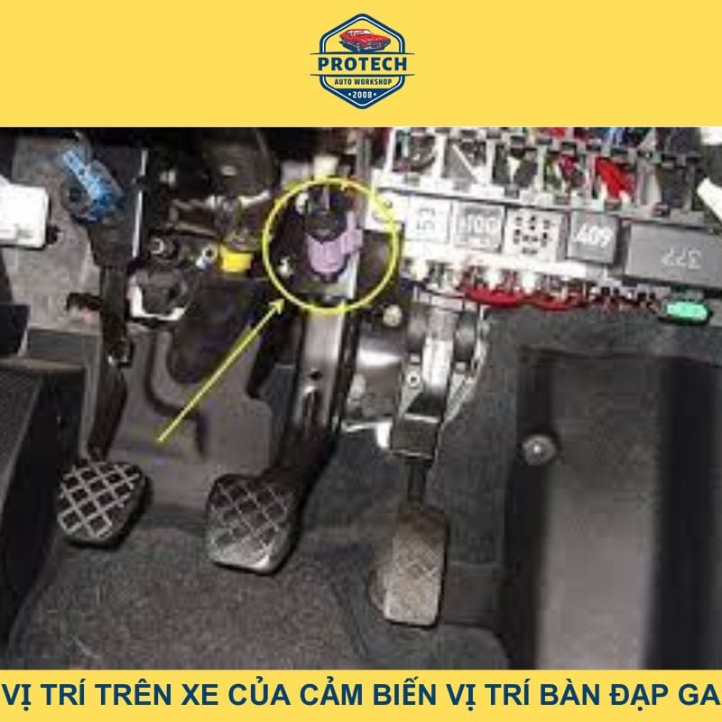 Vị trí trên xe của cảm biến vị trí bàn đạp ga