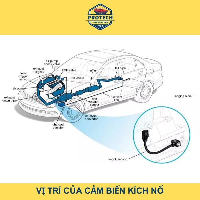 Vị trí của cảm biến kích nổ ô tô