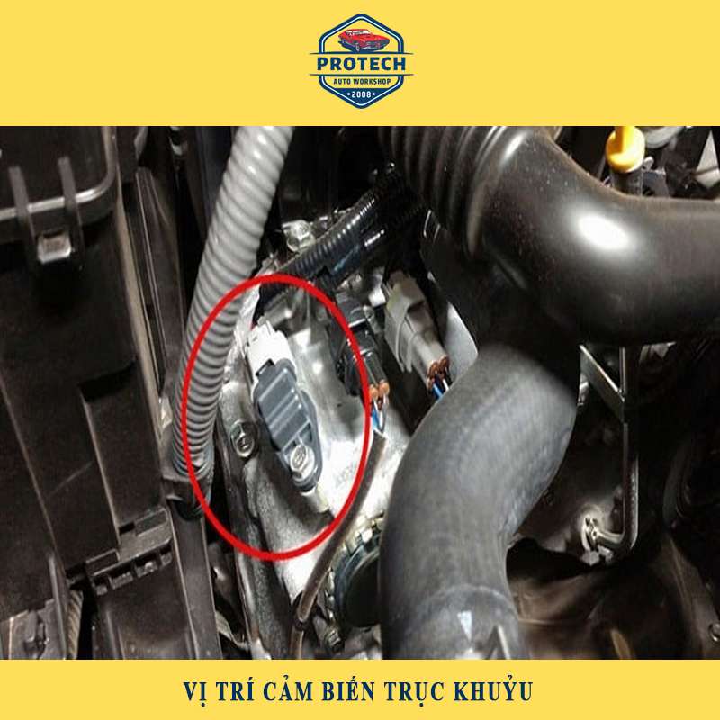 Vị trí lắp đặt cảm biến trục khuỷu trên các xe ô tô