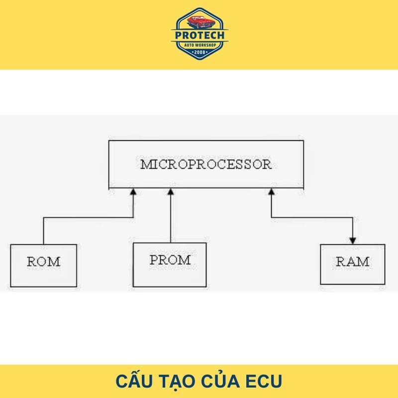 Cấu tạo chi tiết ECU xe ô tô