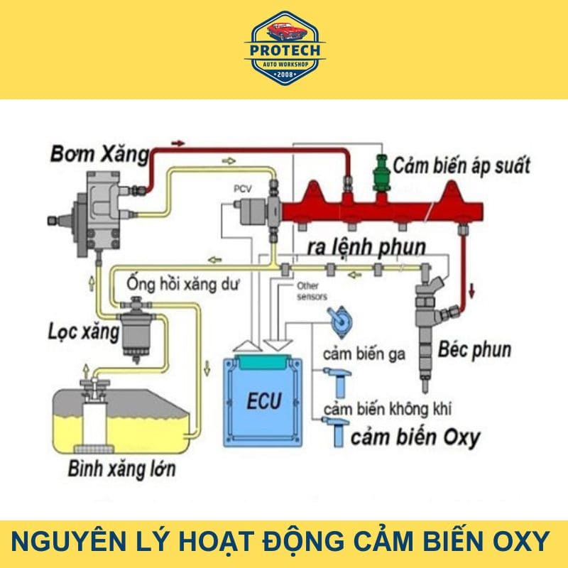 Nguyên lý làm việc của cảm biến oxy
