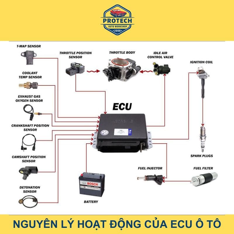 Nguyên lý hoạt động của ECU ô tô