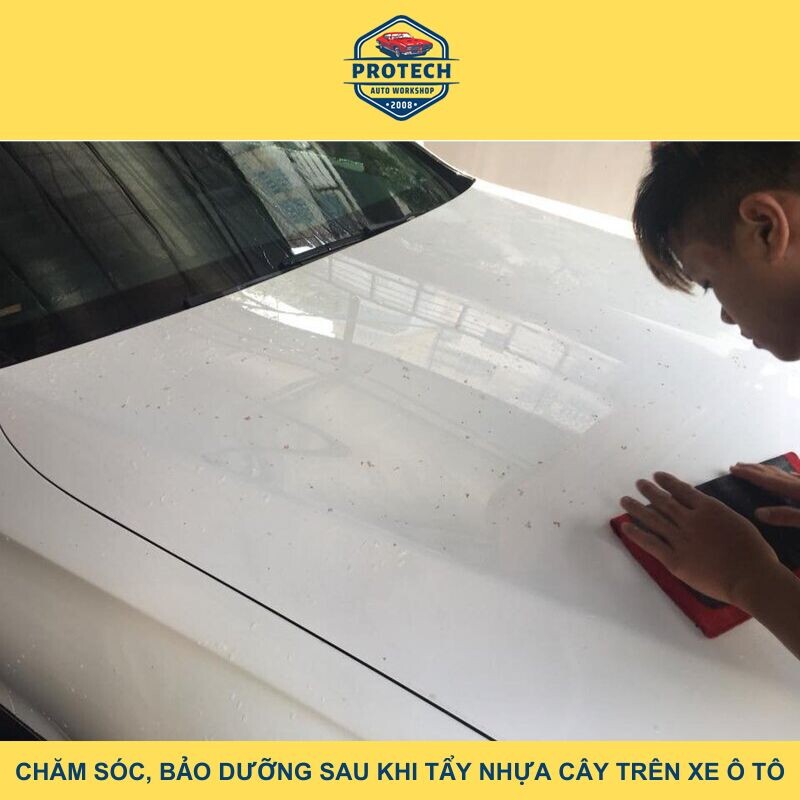 Chăm sóc và bảo dưỡng sau khi tẩy nhựa cây trên xe ô tô