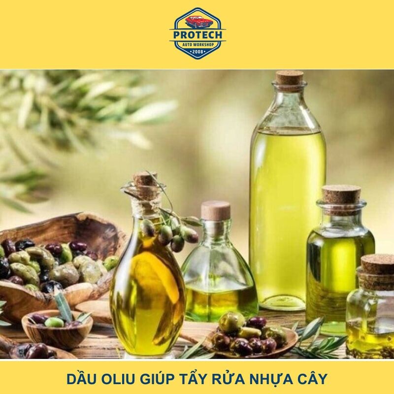 Dầu Oliu giúp tẩy rửa nhựa cây