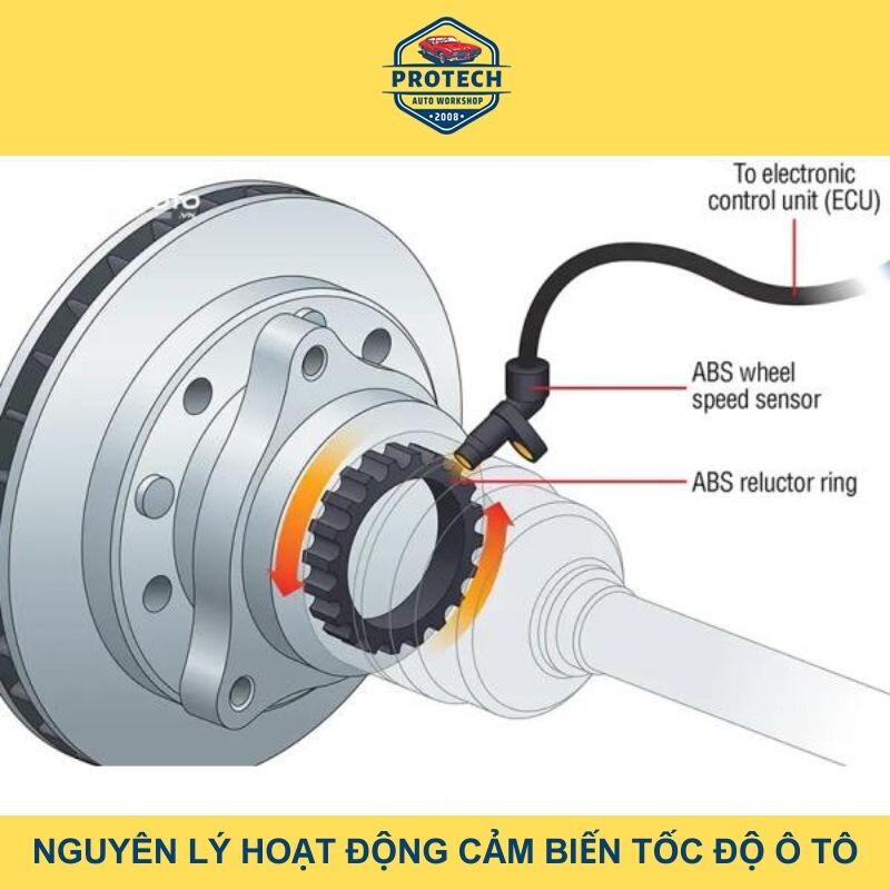 Nguyên lý hoạt động cảm biến tốc độ xe ô tô
