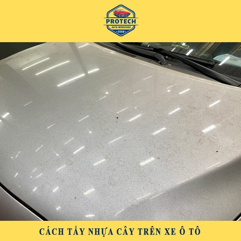 6 Cách tẩy nhựa cây trên xe ô tô tại nhà NHANH CHÓNG