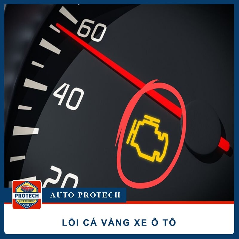 Lỗi cá vàng ô tô là gì? #9 Nguyên nhân và cách khắc phục (Hiệu Quả)