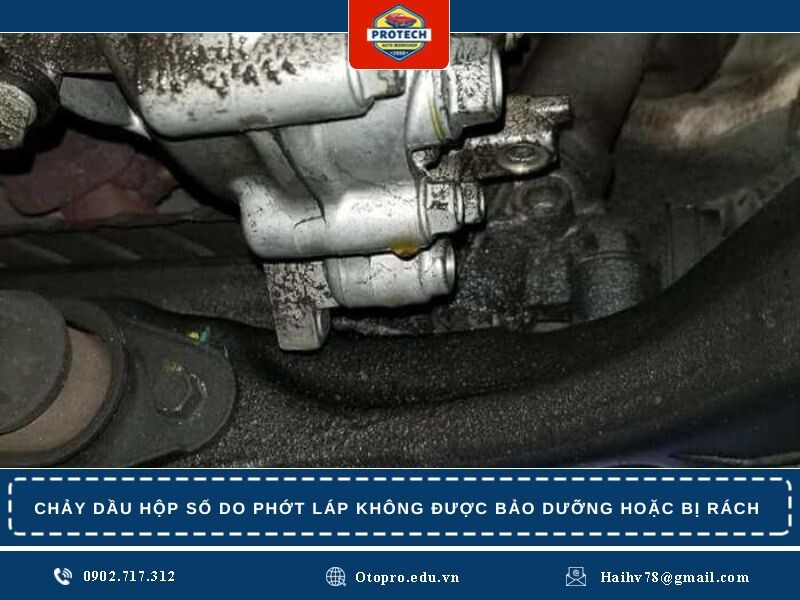 Phớt láp không được bảo dưỡng hoặc bị rách