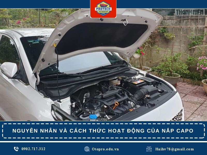 Nguyên nhân và cách thức hoạt động của nắp capo