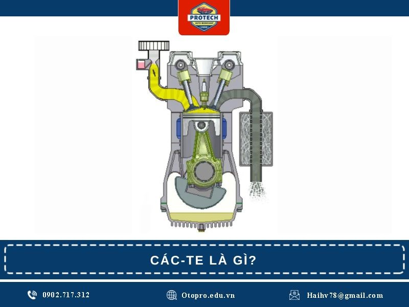 Các-te là gì?