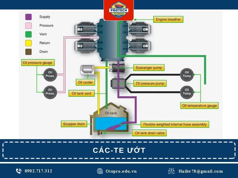 Các-te ướt