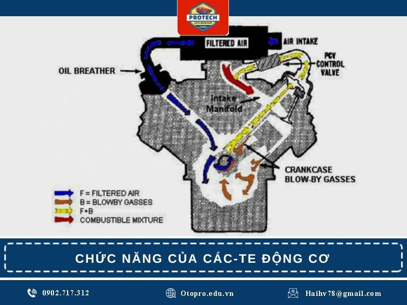 Chức năng của các-te động cơ