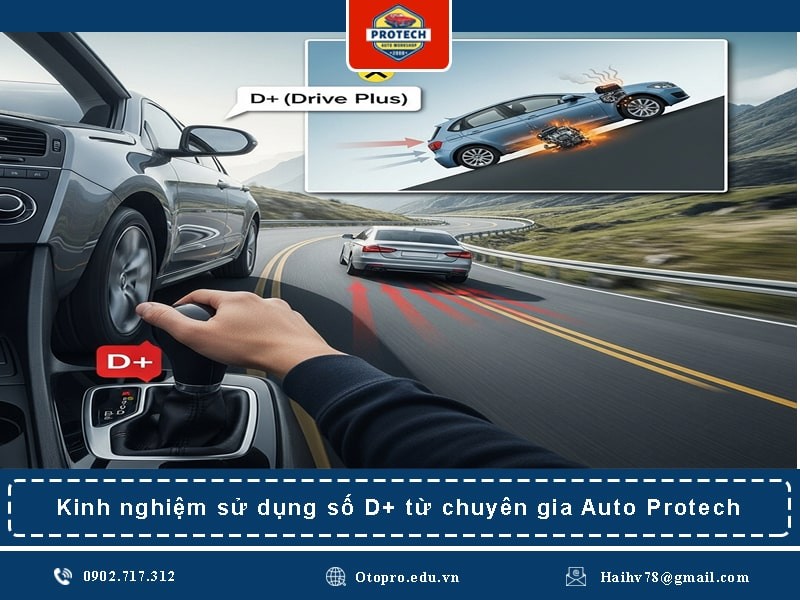 Kinh nghiệm sử dụng số D+ từ chuyên gia Auto Protech